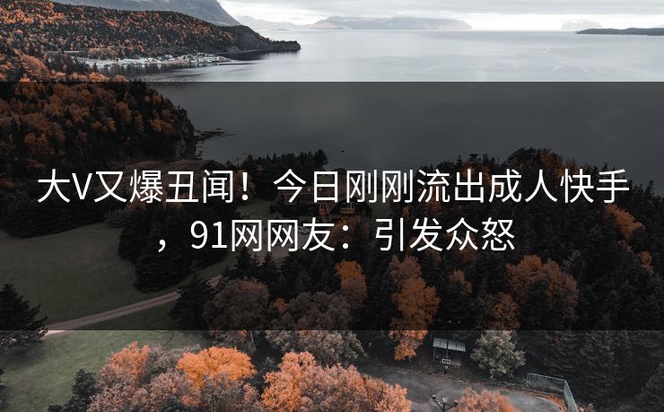 大V又爆丑闻！今日刚刚流出成人快手，91网网友：引发众怒