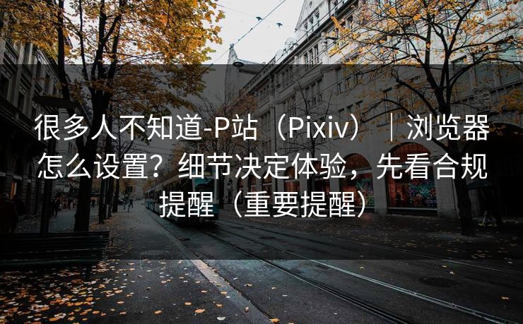 很多人不知道-P站(Pixiv)|浏览器怎么设置?细节决定体验,先看合规提醒(重要提醒) 很多人不知道-P站(Pixiv)|浏览器怎么设置?细节决定体验,先看合规提醒(重要提醒)